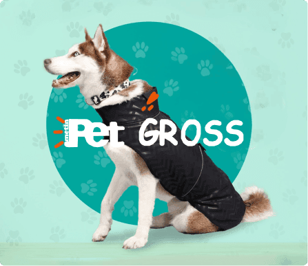 Petgross marka büyük köpek kıyafeti ve tasma giyen tatlı Sibirya kurdu