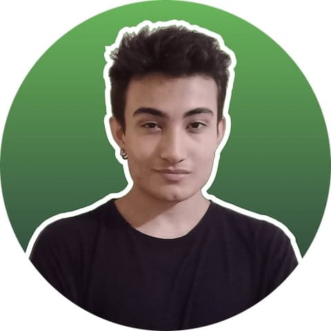 Go to LinkedIn profile Deniz Ozkan